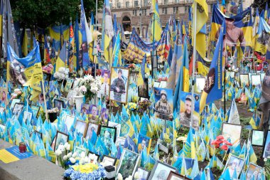 Bayrak, çiçek ve Kyiv 'deki kahramanları onurlandıran portrelerle dolu canlı bir anıt..