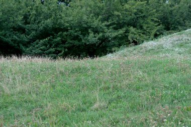 Çimlerle kaplı yemyeşil yamaçlar ağaçlar arasında huzurlu bir manzara yaratır..