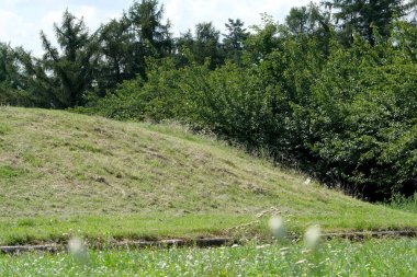 Mavi gökyüzünün altında yeşil ağaçlarla çevrili çimenli bir tepe yavaşça yükselir..