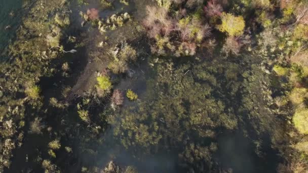 Повітряне Спостереження Зоною Переповнення Річок Восени — стокове відео