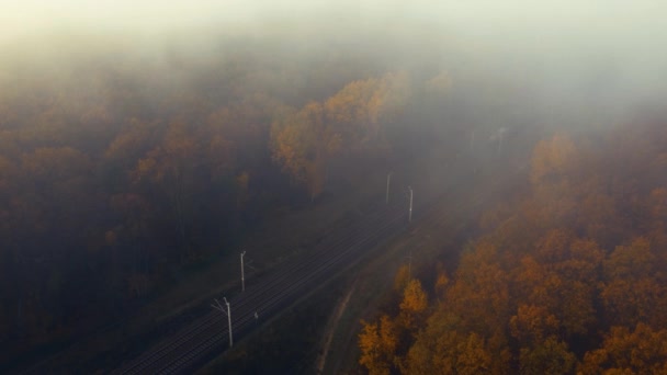 Letecký Pohled Vlak Projíždějící Mlhavým Podzimním Lesem Záběry — Stock video