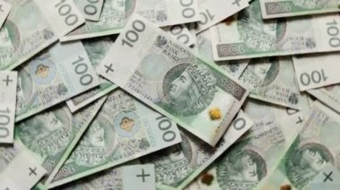 Polonya para birimi (PLN). Dönen para, en iyi manzara. Polonya parası.