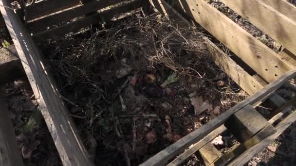Kayu Palet Composter Taman Konsep Permakultur — Stok Video