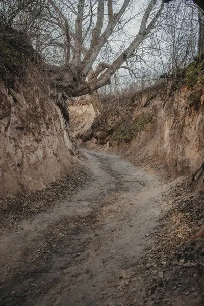 Kökleri olan gevşek bir dağ geçidi. Doğal geçit.