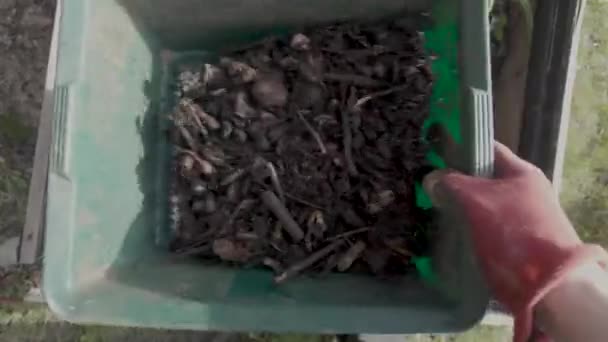 Przesiewam Świeży Kompost Gleba Oddzielająca Ale Nie Kompostowana Nawóz Naturalny — Wideo stockowe