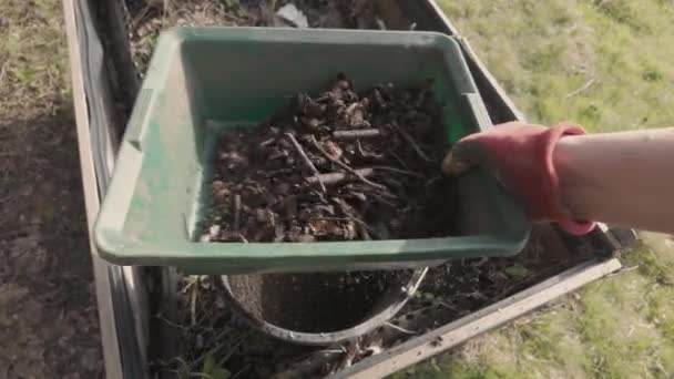 Tamizar Compost Fresco Tierra Separación Partes Aún Sin Compostar Abono — Vídeo de stock