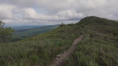 Polonya 'nın Bieszczady Dağlarında yürüyüş
