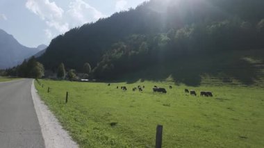 Logar Vadisi, Slovenya Yeşil Dağları ve Yolu Üzerinden Hava Yolları