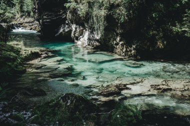 Slovenya 'da Ahşap Yol ve Temiz Nehirli Vintgar Vadisi