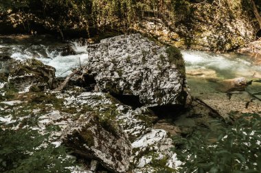 Slovenya 'da Ahşap Yol ve Temiz Nehirli Vintgar Vadisi