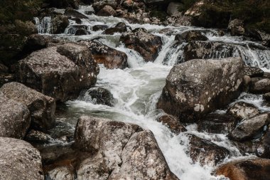 Ormandaki dağ deresi, kayalar ve huzurlu doğa manzarası.
