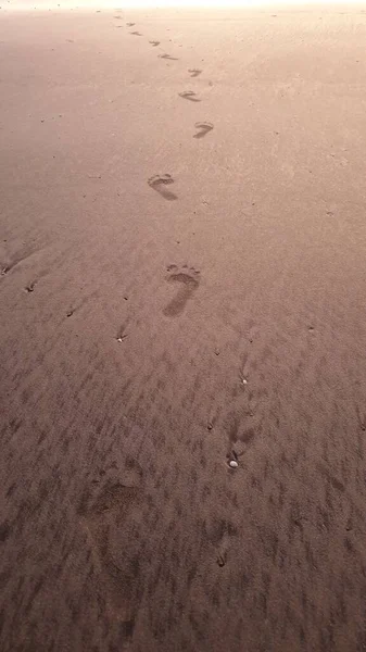 遺産を示す砂の中の足跡 ストック画像