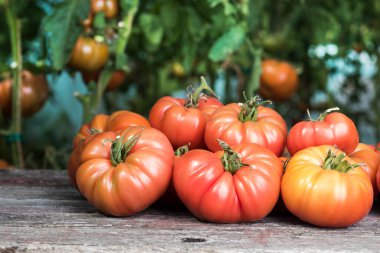 Sebzeler, ahşap masadaki domatesler.