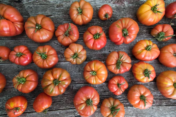 Verdure Pomodori Sulla Scrivania Giardino — Foto Stock