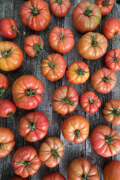 Alimenti Biologici Verdure Rosse Gratuite Pomodoro — Foto Stock