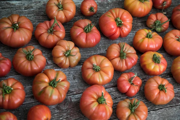 Légumes Tomates Sur Bureau Dans Jardin — Photo