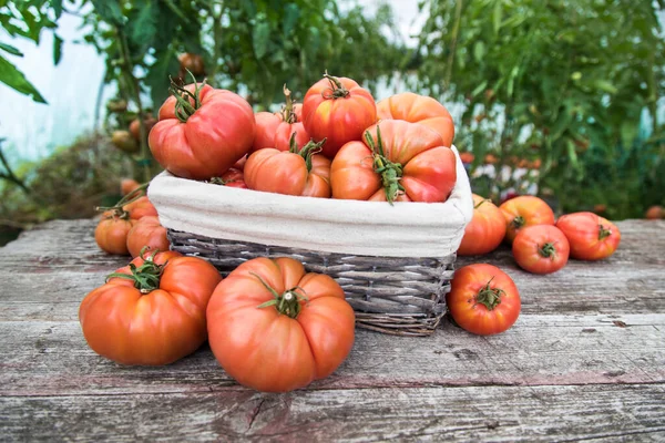 Warzywa Pomidory Drewnianym Biurku — Zdjęcie stockowe