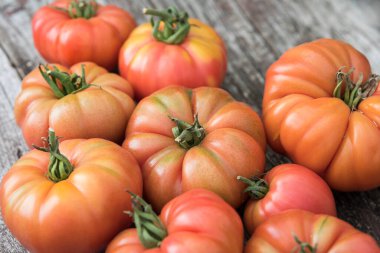 Domates sebze bahçesi, organik ürünler.