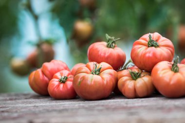 Sebzeler, ahşap masadaki domatesler.