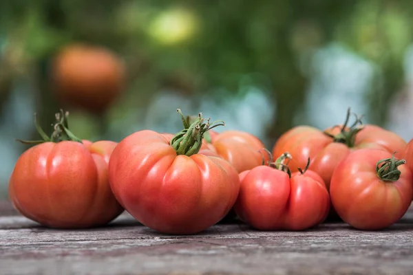 Verdure Pomodori Sulla Scrivania Legno — Foto Stock