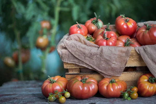 Légumes Tomates Sur Bureau Bois — Photo
