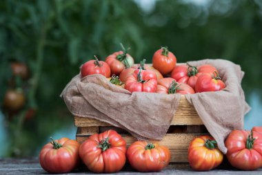 Sebze, domates, bahçede masanın üstünde. 