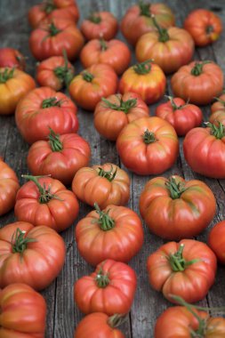 Sebze, domates, bahçede masanın üstünde. 