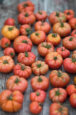 Sebze, domates, bahçede masanın üstünde. 