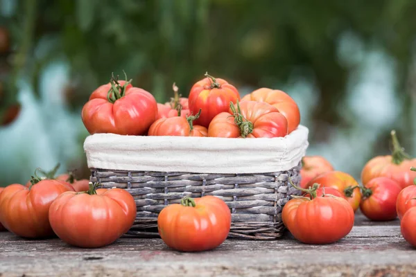 木の机の上のトマト — ストック写真