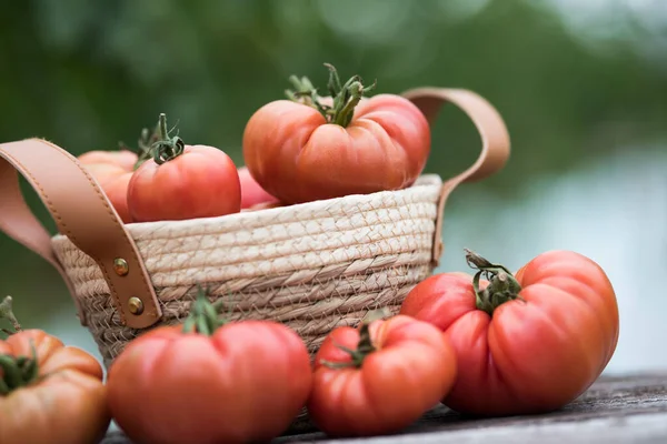 Gemüse Tomaten Auf Dem Schreibtisch Garten — Stockfoto