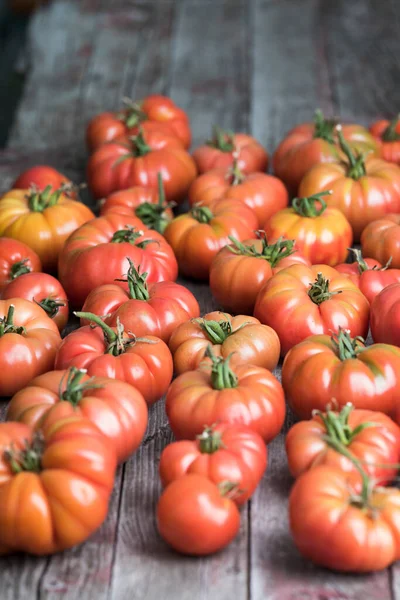 Domates sebze bahçesi, organik ürünler.