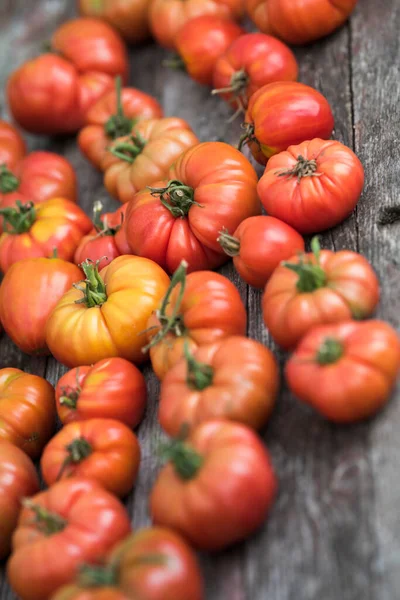 Légumes Tomates Sur Bureau Bois — Photo