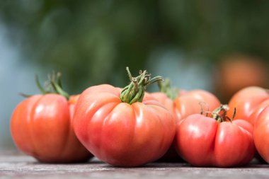 Sebze, domates, bahçede masanın üstünde. 