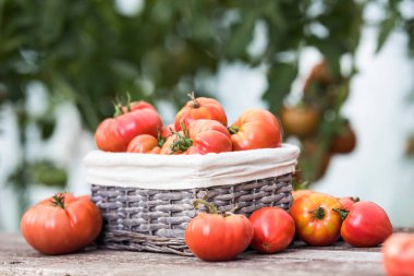 Sebze, domates, bahçede masanın üstünde. 