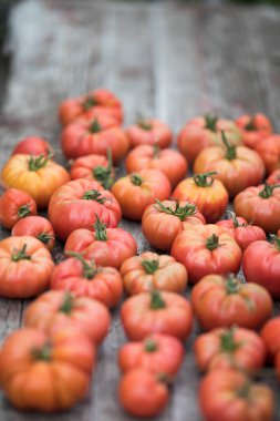 Sebze, domates, bahçede masanın üstünde. 
