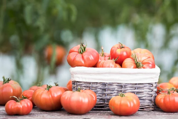 Warzywa Pomidory Drewnianym Biurku — Zdjęcie stockowe
