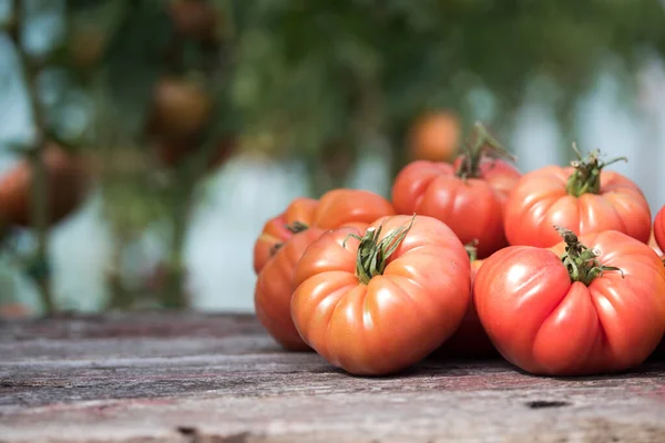 Verduras Tomates Escritorio Madera —  Fotos de Stock