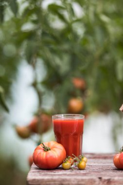 Ahşap arka planda taze domates suyu.