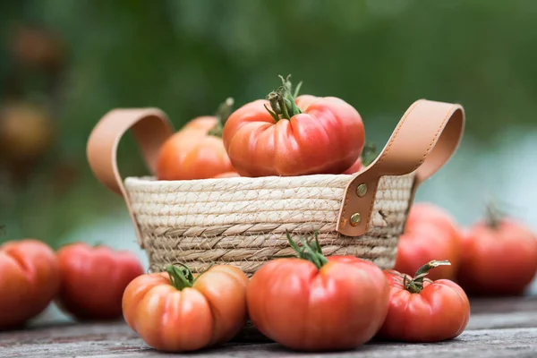 바구니에 토마토 — 스톡 사진