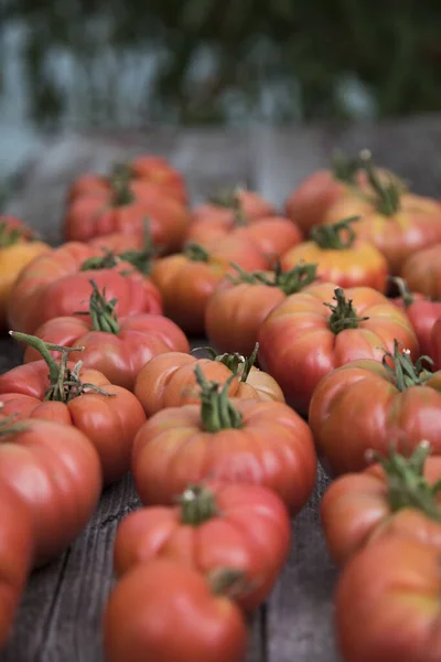 Βιολογικά Τρόφιμα Δωρεάν Κόκκινα Λαχανικά Ντομάτας — Φωτογραφία Αρχείου