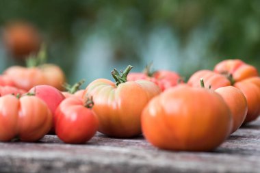 Sebze, domates, bahçede masanın üstünde. 