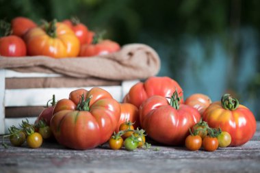 Sebzeler, ahşap masadaki domatesler.