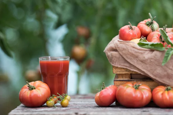 Fresh Tomato Juice Wooden Background — Stock Photo, Image
