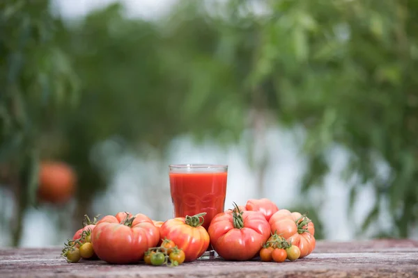 新鲜的红番茄汁 木制底座 — 图库照片