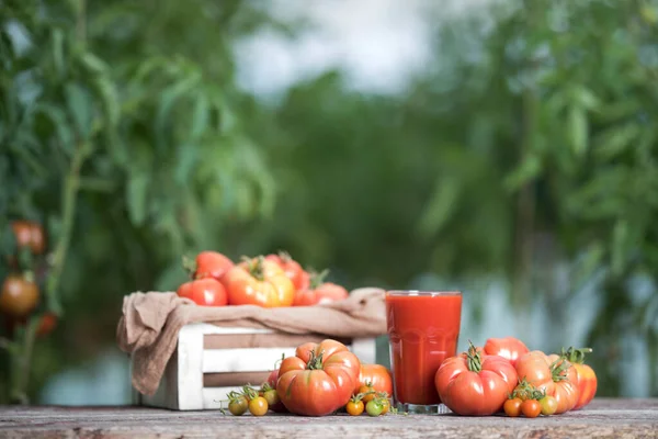 新鲜番茄汁 木制底座 — 图库照片