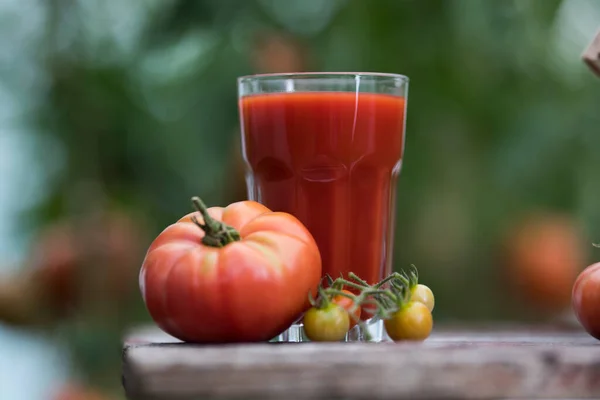 Sumo Tomate Vermelho Fresco Sobre Fundo Madeira — Fotografia de Stock