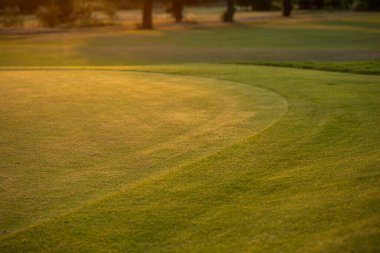 Çimenli golf sahası