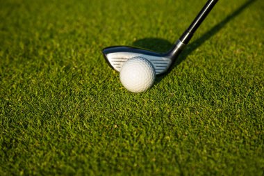 Golf sahasında golf sopası ve topla.