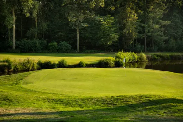 Güneşli bir günde golf sahası olan yeşil golf sahası