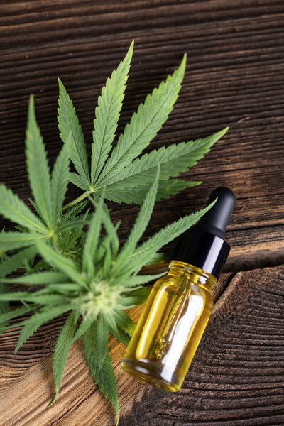 cannabis leaves and oil on the table